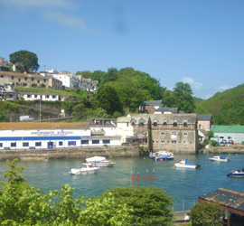 Looe river